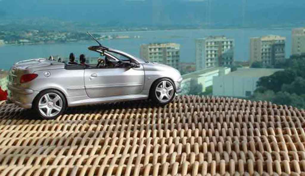Peugeot 206 CC rc 1/18 Solido