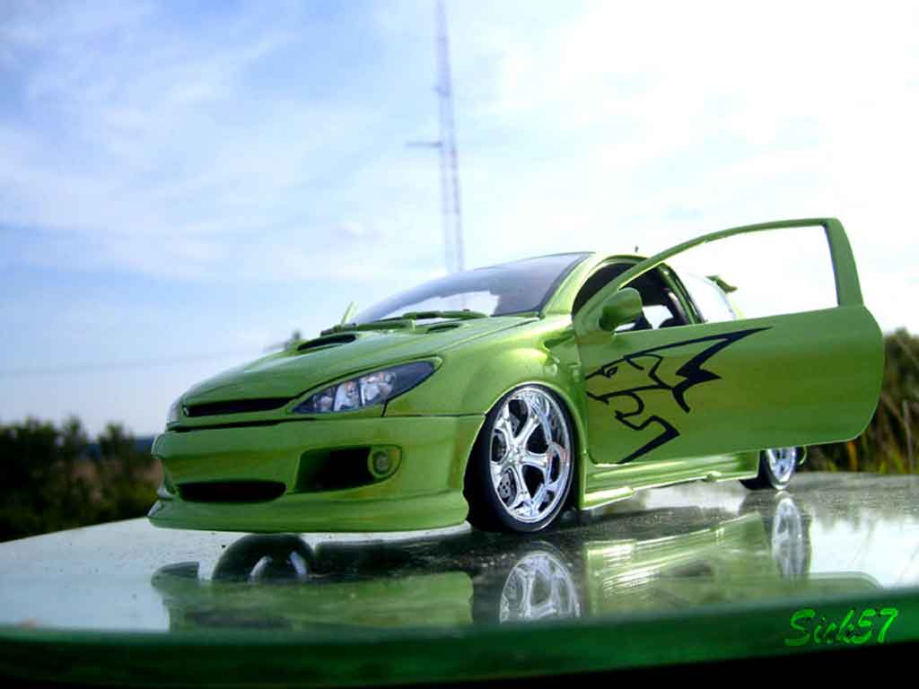Peugeot 206 RC esquiss auto kiwi 1/18 Norev