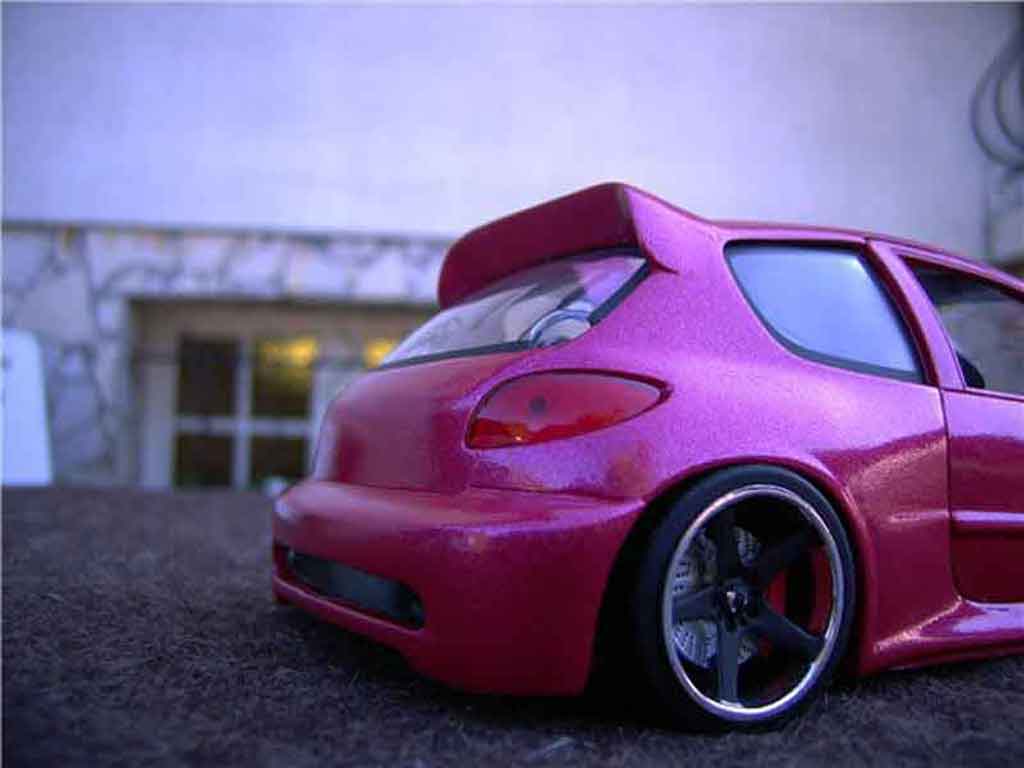 Peugeot 206 WRC kit large tuning 1/18 Solido