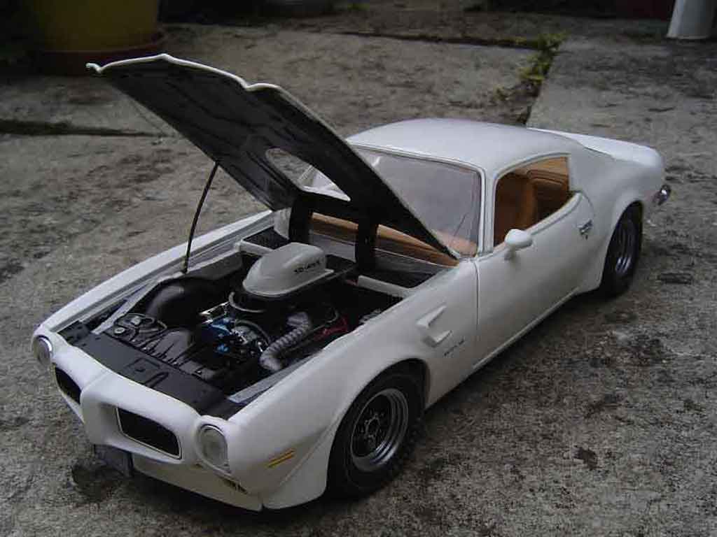 Pontiac Firebird 1973 trans am 1/18 Ertl