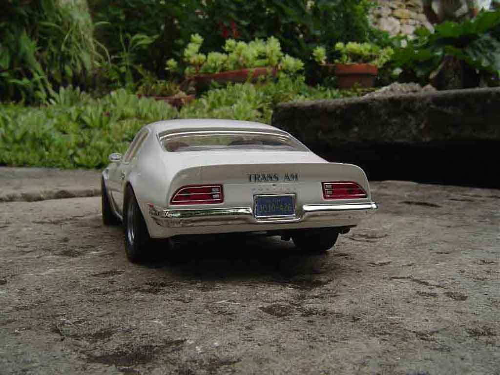 Pontiac Firebird 1973 trans am 1/18 Ertl
