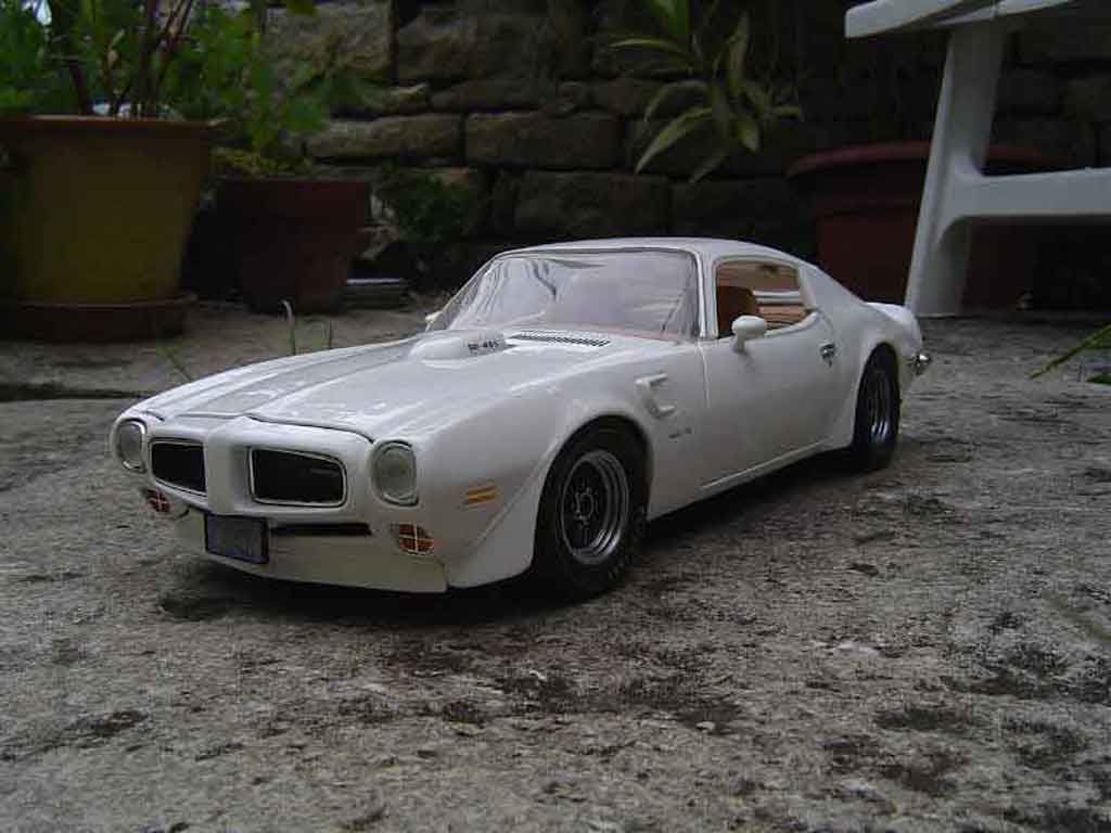 Pontiac Firebird 1973 trans am 1/18 Ertl