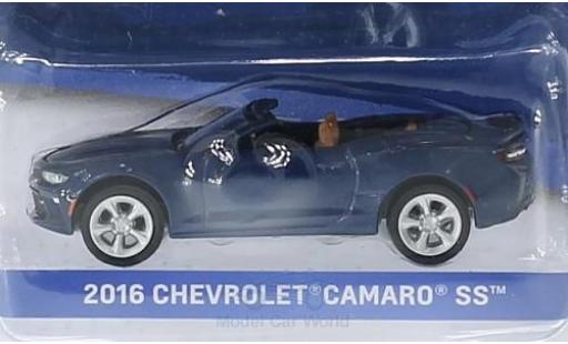 Modelauto Chevrolet Camaro SS metallic blauw 2016 General Motors Series 1 zonder Vitrine 1/64 Greenlight