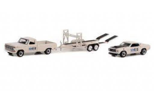 Modelauto Ford F-100 Pickup 00 Pete Peterson 1969 1/64 Greenlight